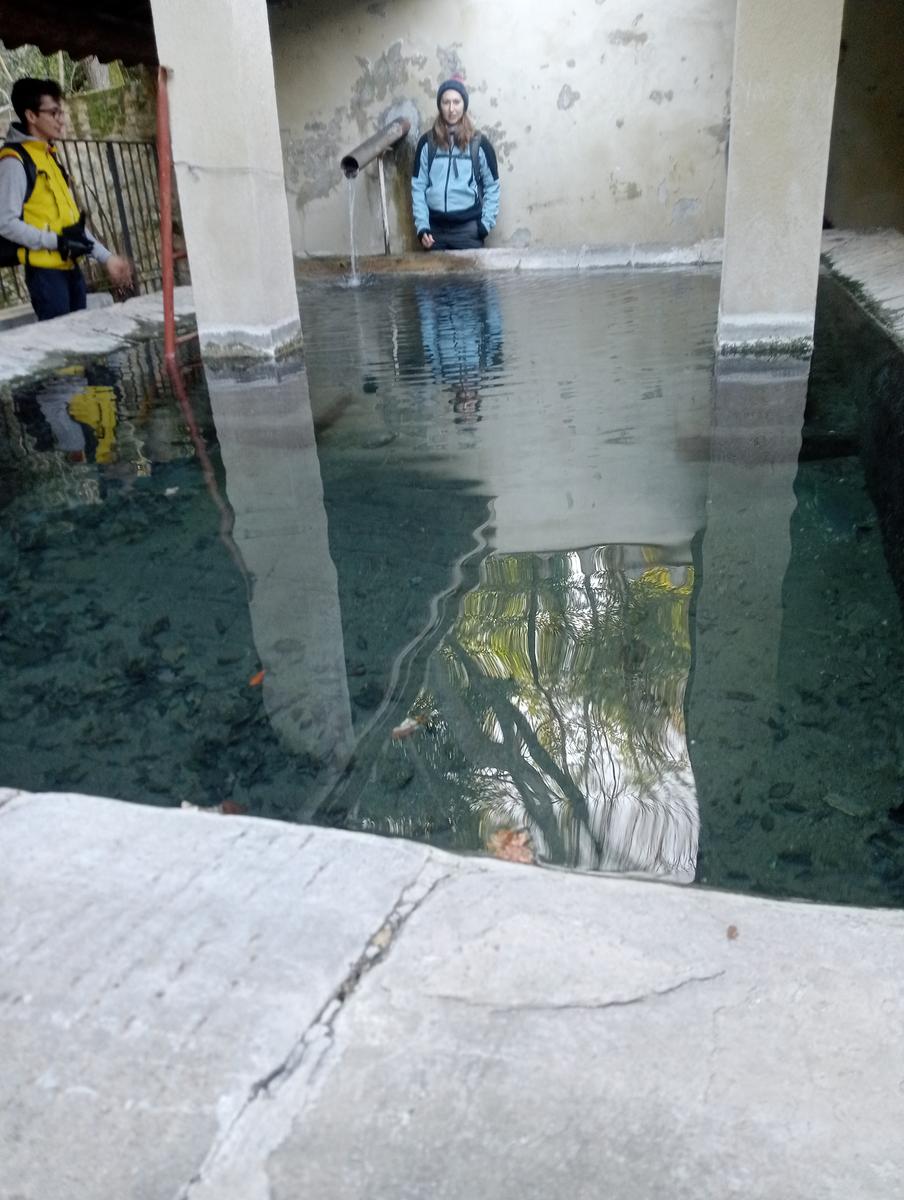 Sasso Pisano - Fumarole - Anello con Friends in trekking - foto 27