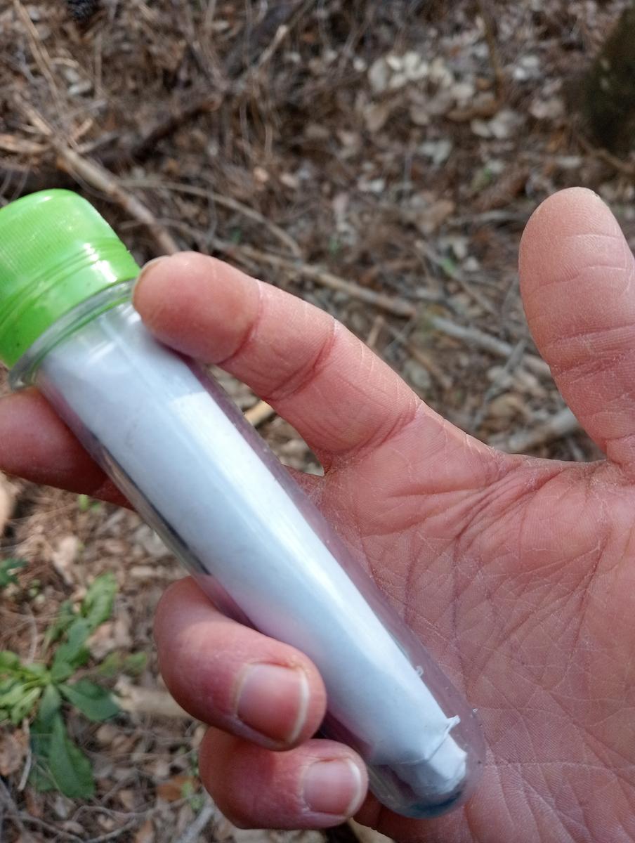 Castagneto Carducci - Geocache - Sassetta