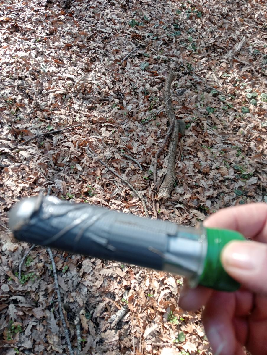 Castagneto Carducci - Geocache - Sassetta - foto 2