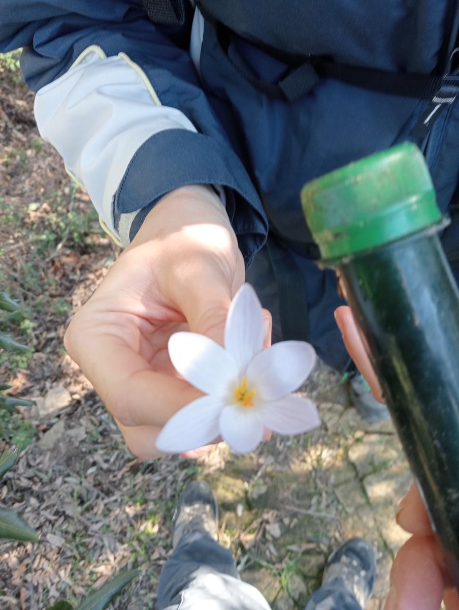 Castagneto Carducci - Geocache - Sassetta - foto 3