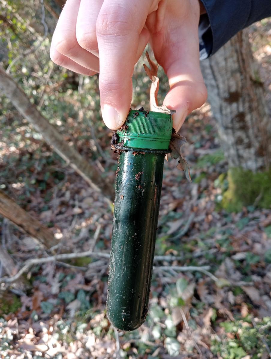 Castagneto Carducci - Geocache - Sassetta - foto 7