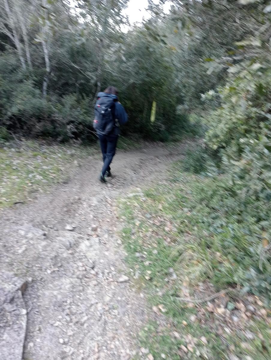 Castagneto Carducci - Geocache - Sassetta - foto 9