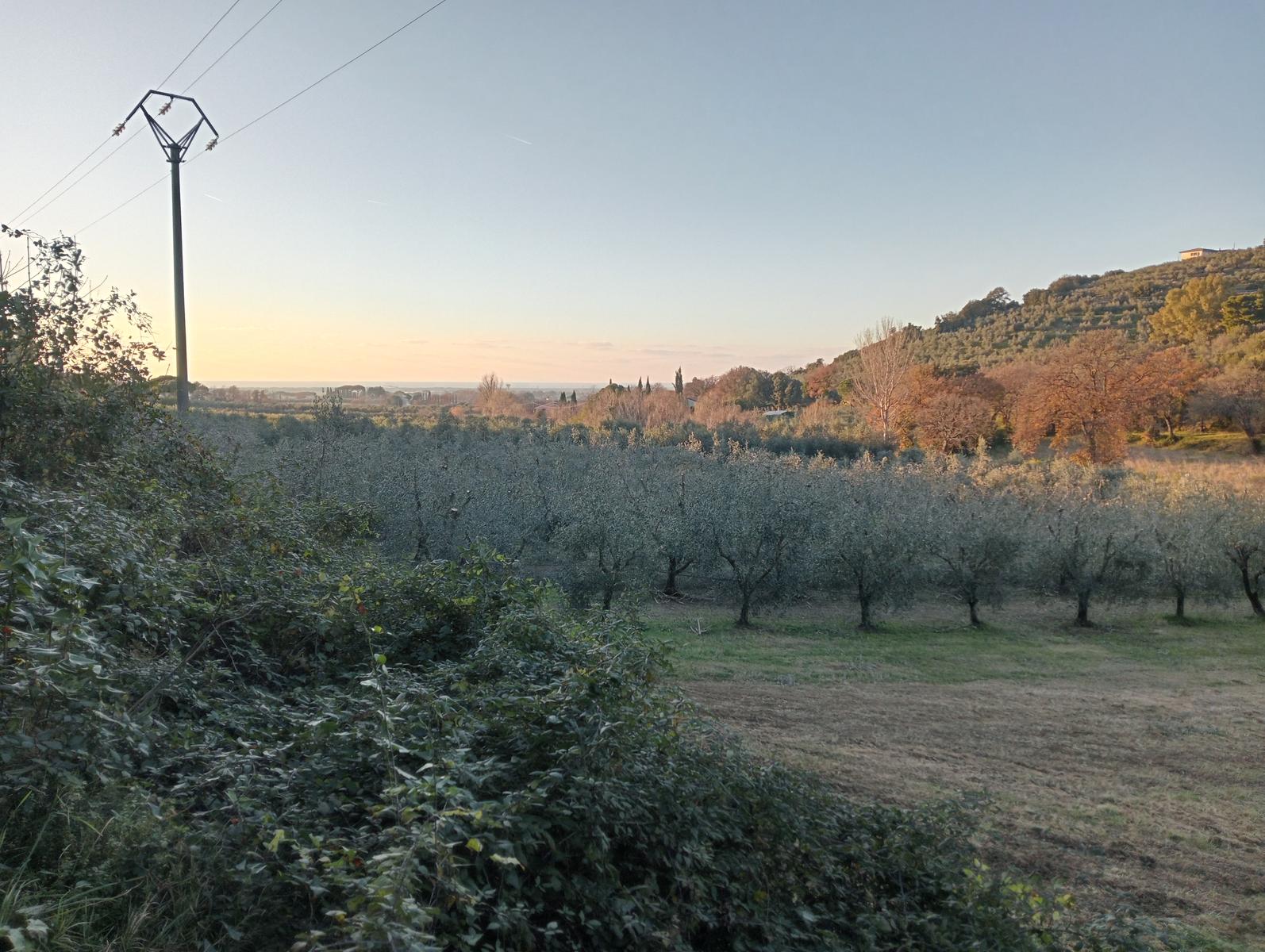 Castagneto Carducci - Geocache - Sassetta - foto 10