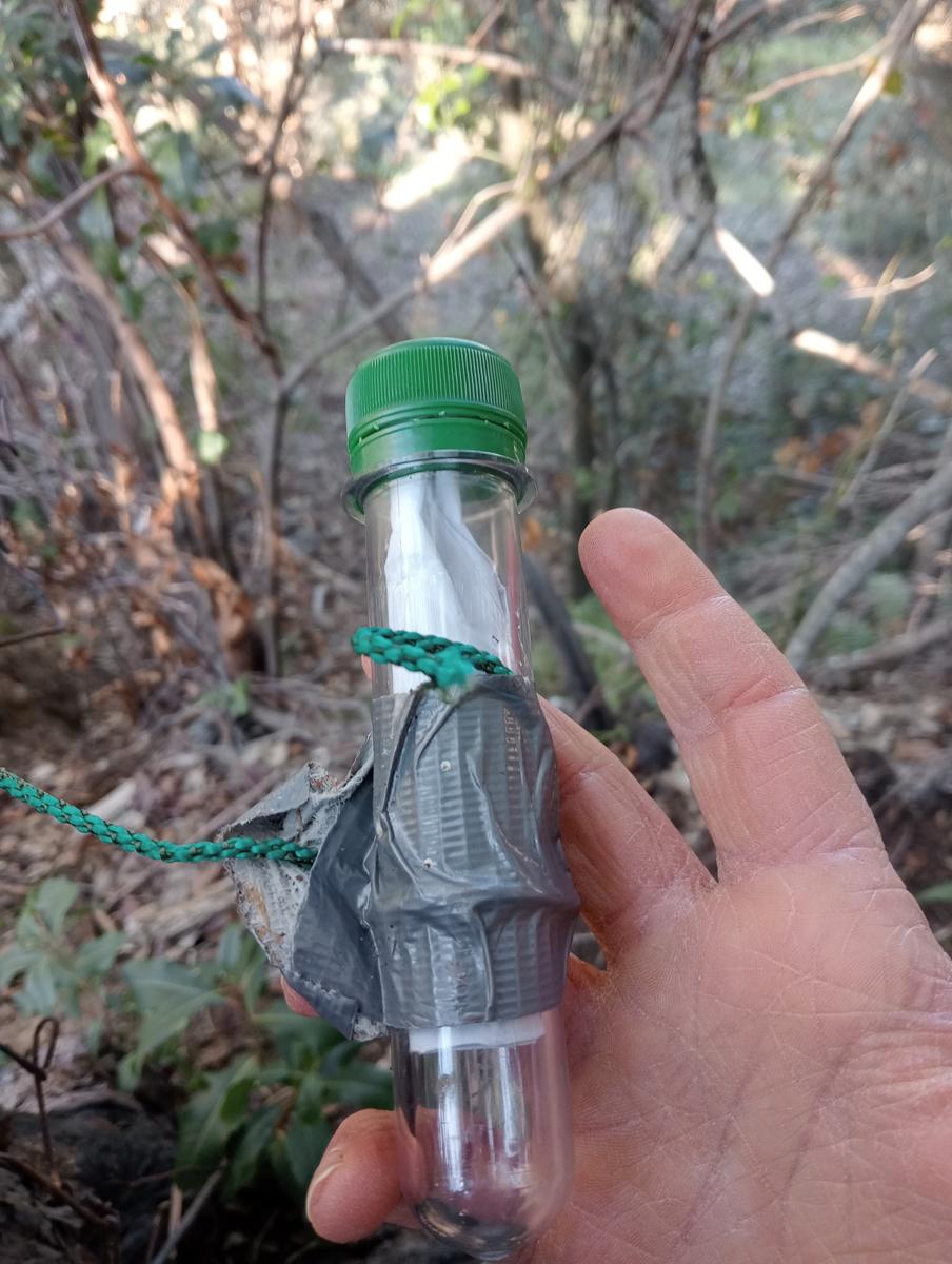 Castagneto Carducci - Geocache - Sassetta - foto 14