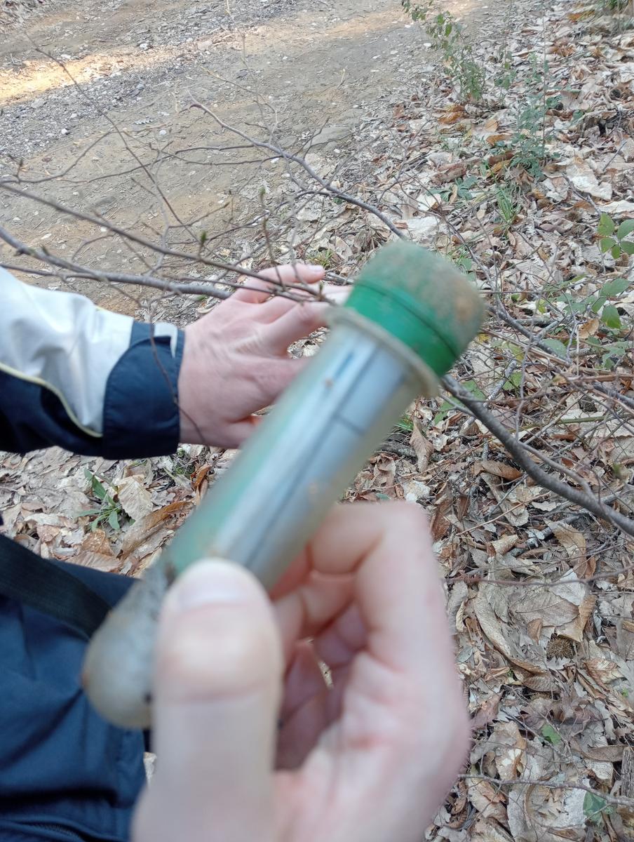 Castagneto Carducci - Geocache - Sassetta - foto 15