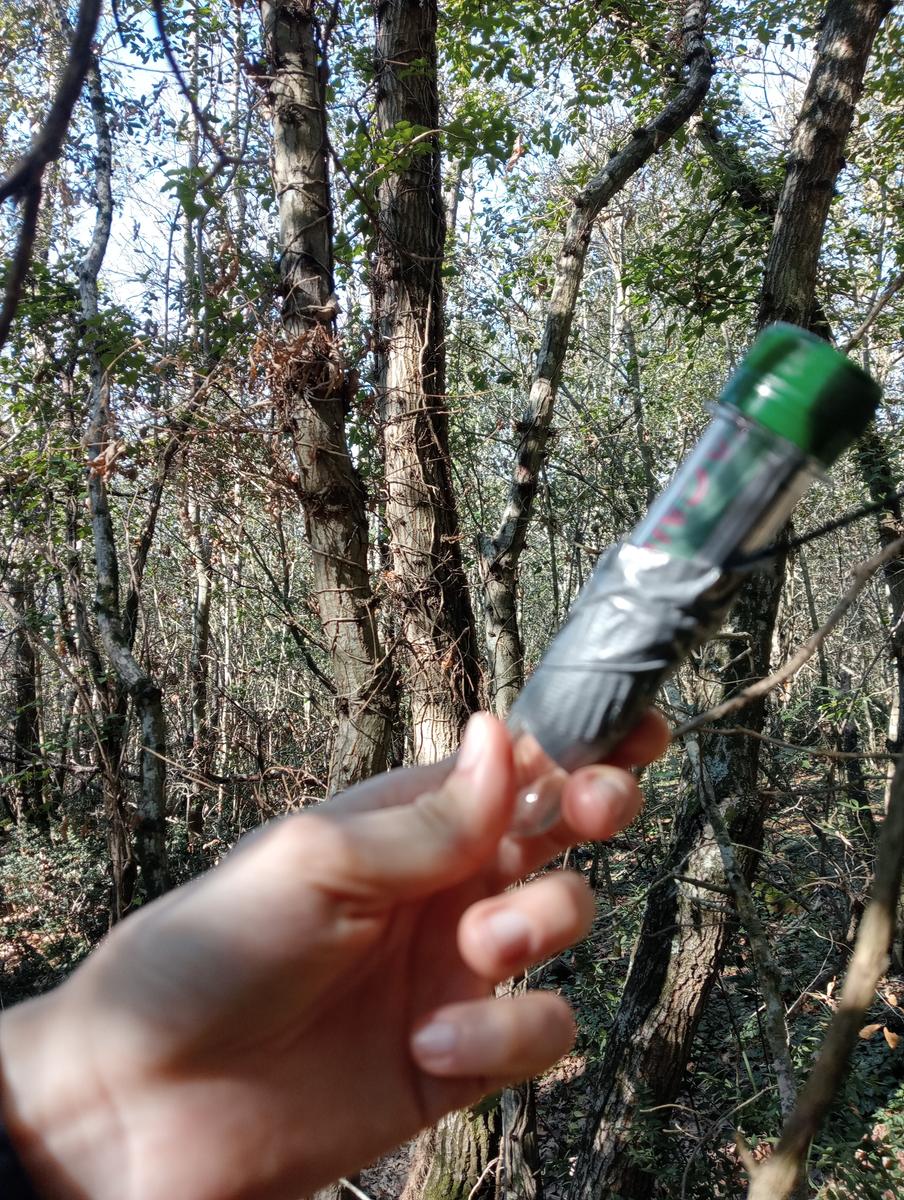 Castagneto Carducci - Geocache - Sassetta - foto 17