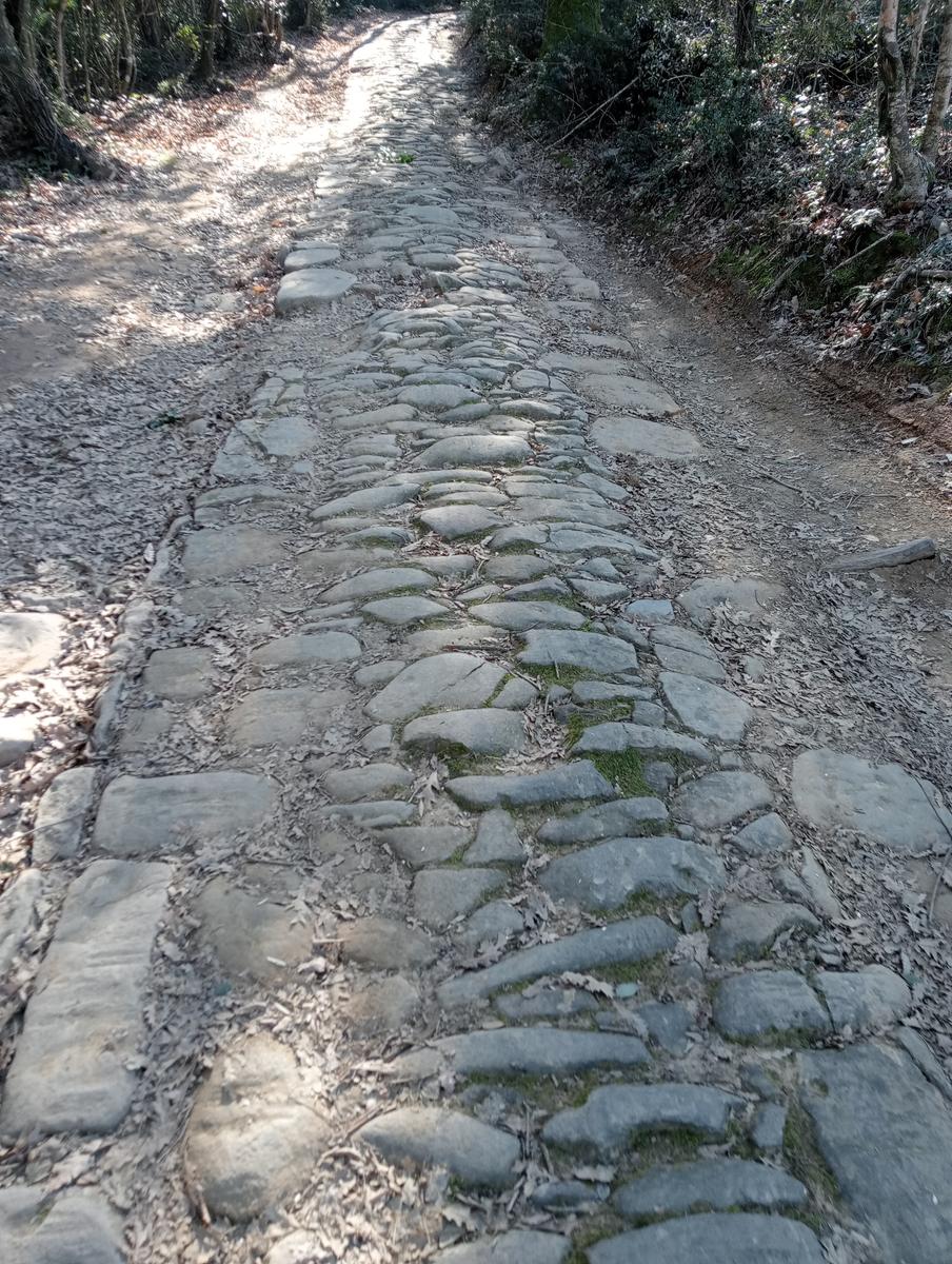 Castagneto Carducci - Geocache - Sassetta - foto 18