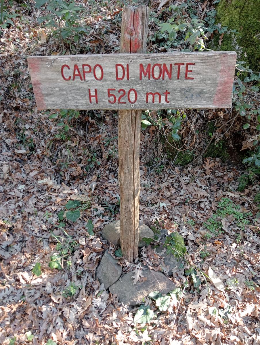 Castagneto Carducci - Geocache - Sassetta - foto 19