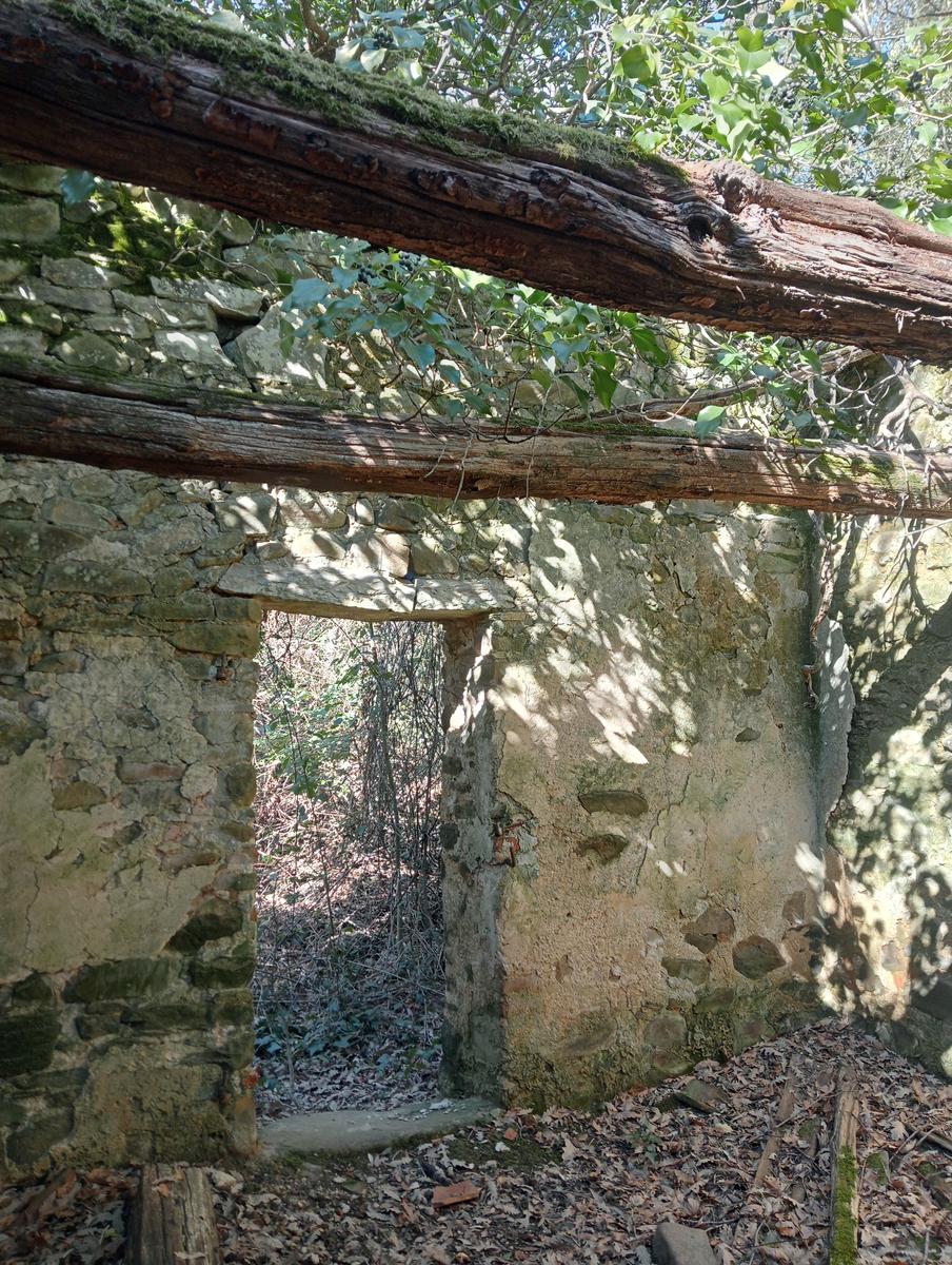 Castagneto Carducci - Geocache - Sassetta - foto 20