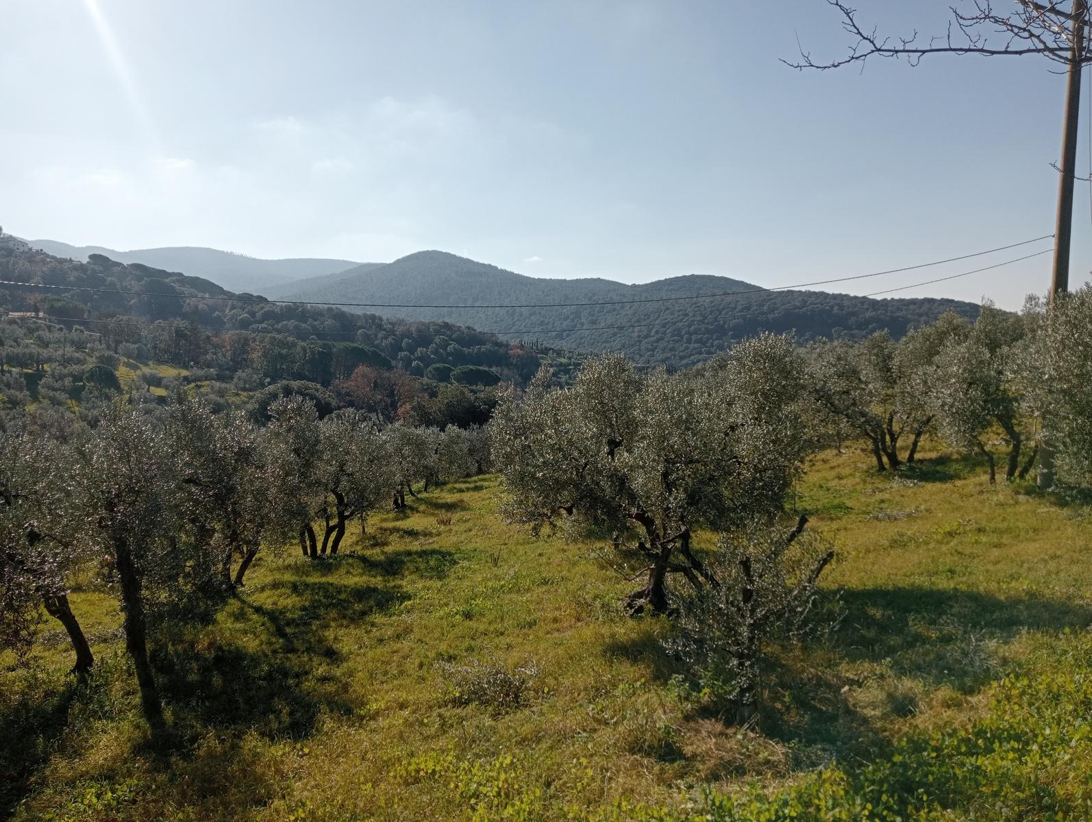 Castagneto Carducci - Geocache - Sassetta - foto 25