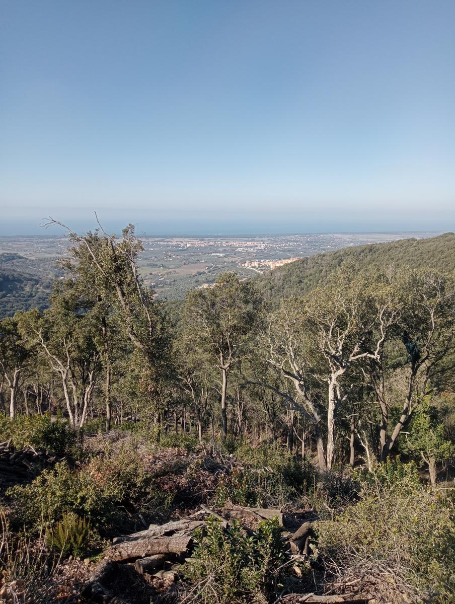 Castagneto Carducci - Geocache - Sassetta - foto 27