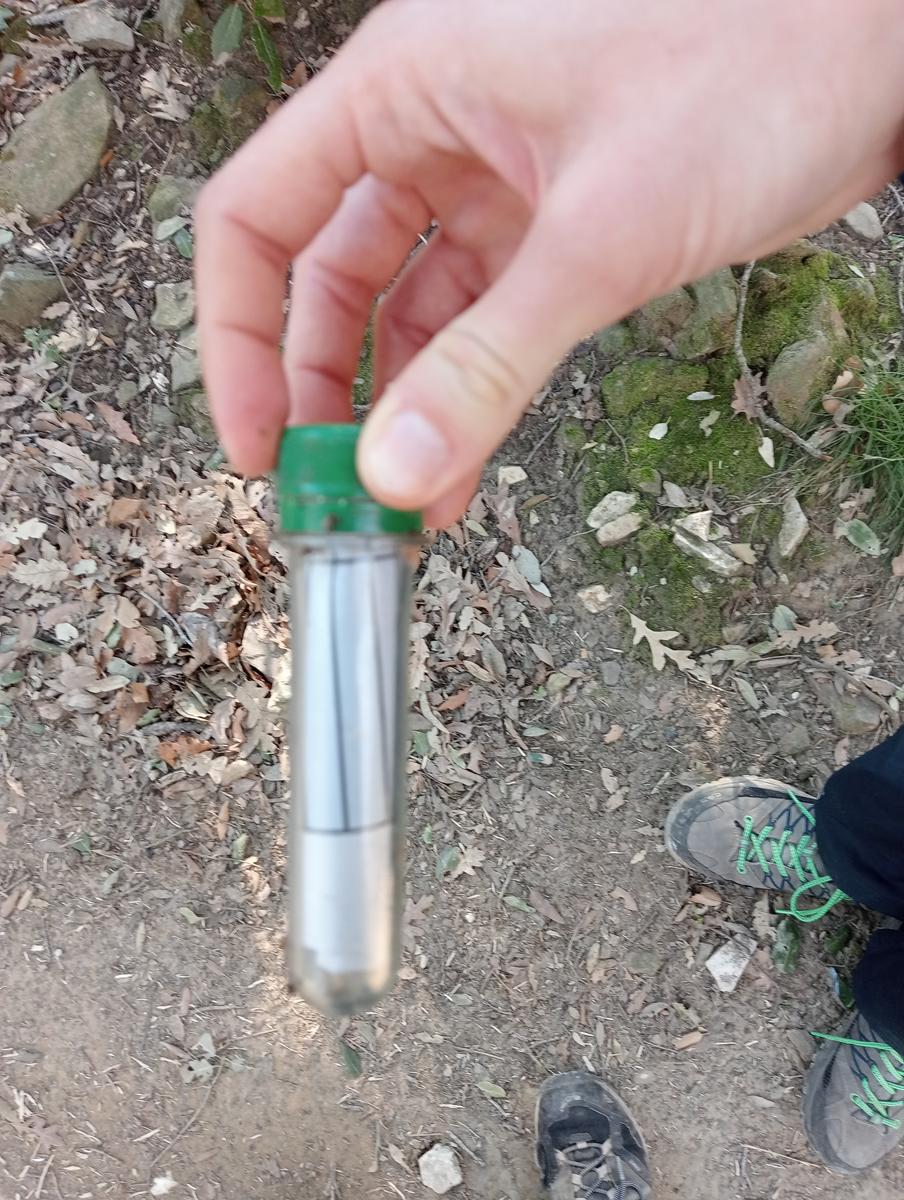 Castagneto Carducci - Geocache - Sassetta - foto 28