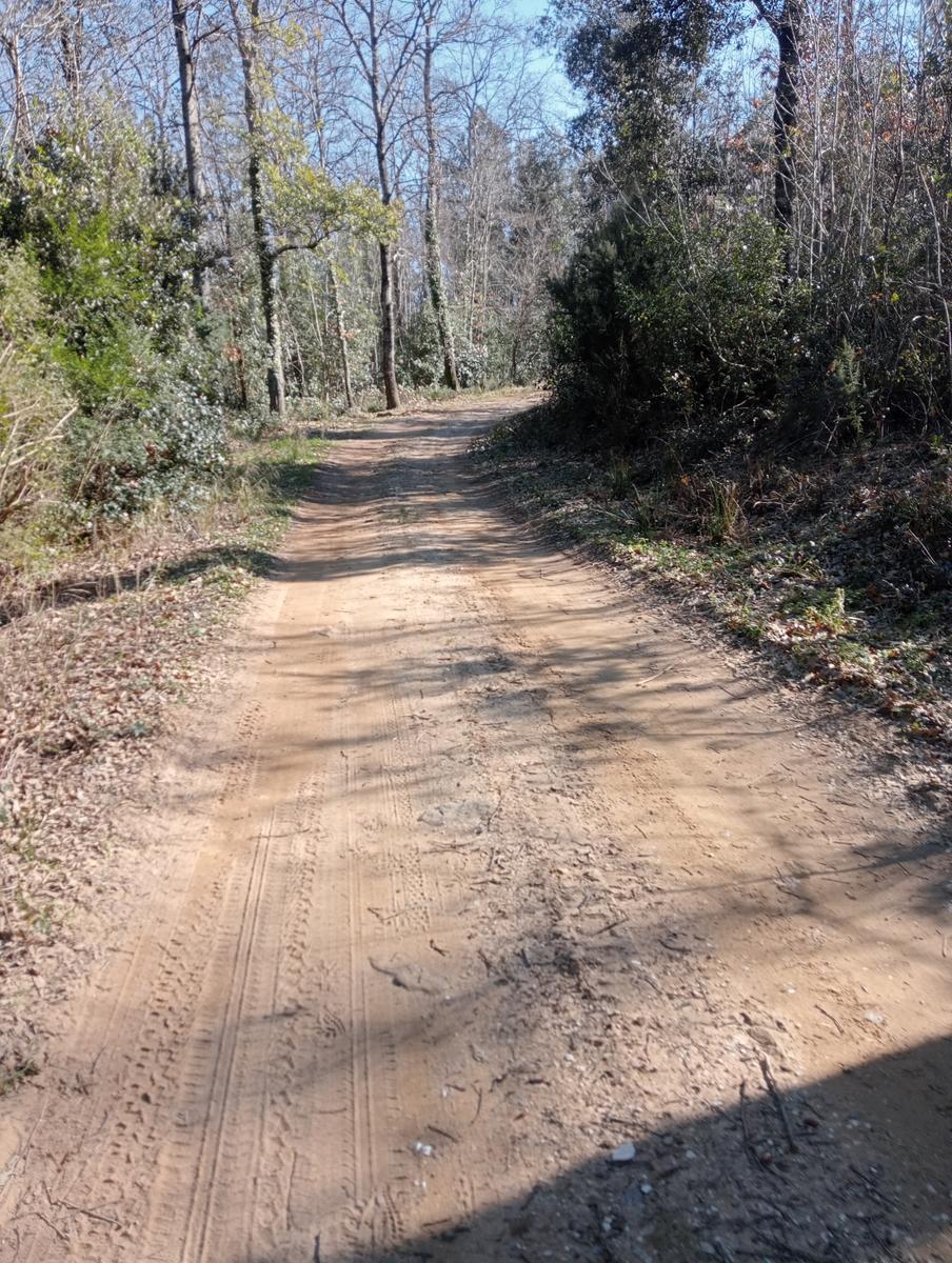 Castagneto Carducci - Geocache - Sassetta - foto 29