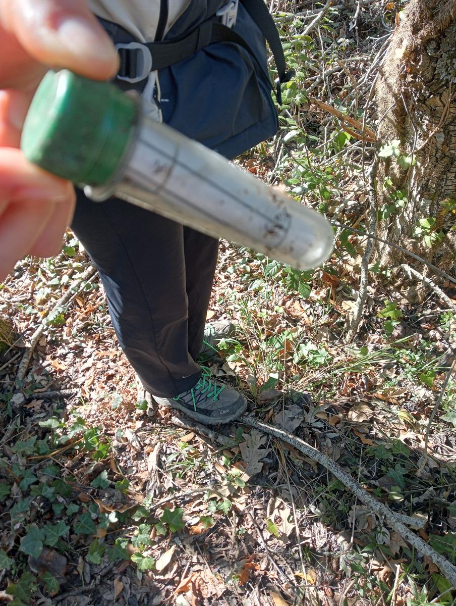 Castagneto Carducci - Geocache - Sassetta - foto 30