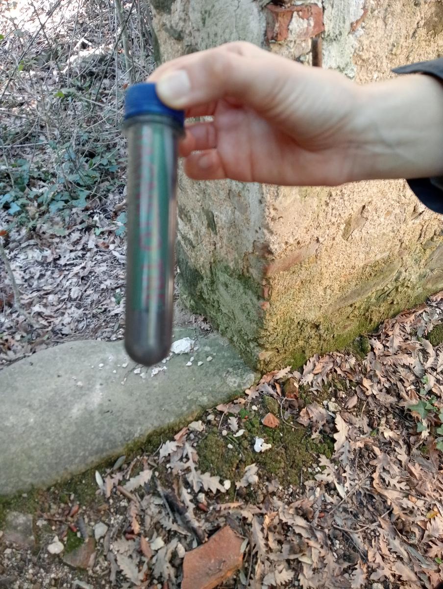 Castagneto Carducci - Geocache - Sassetta - foto 32