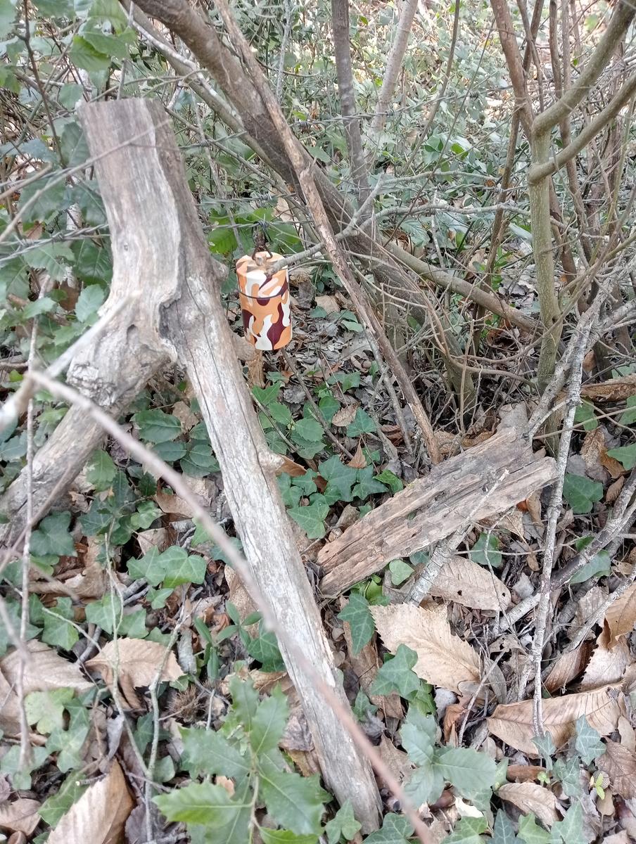 Castagneto Carducci - Geocache - Sassetta - foto 33