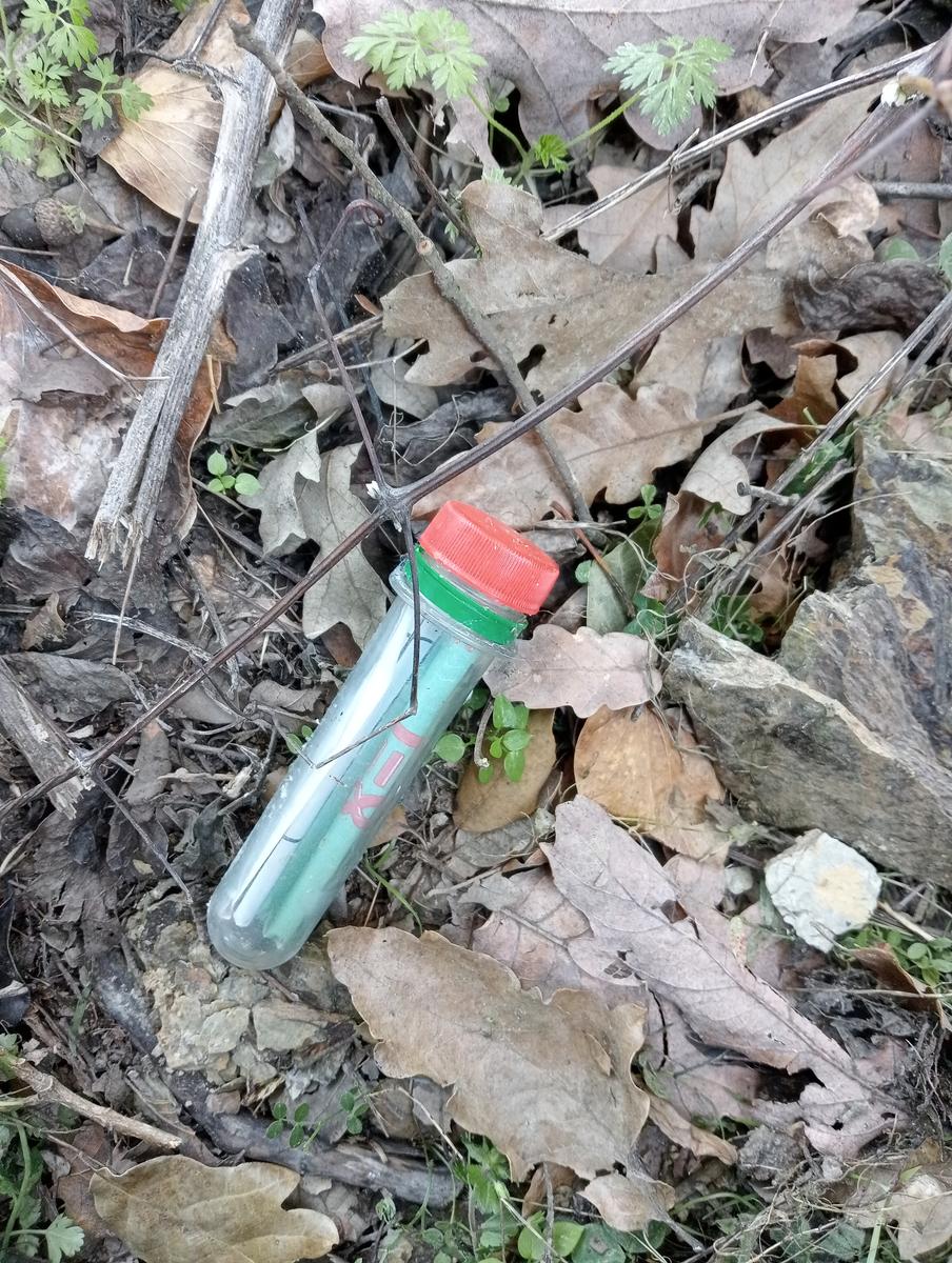 Castagneto Carducci - Geocache - Sassetta - foto 34