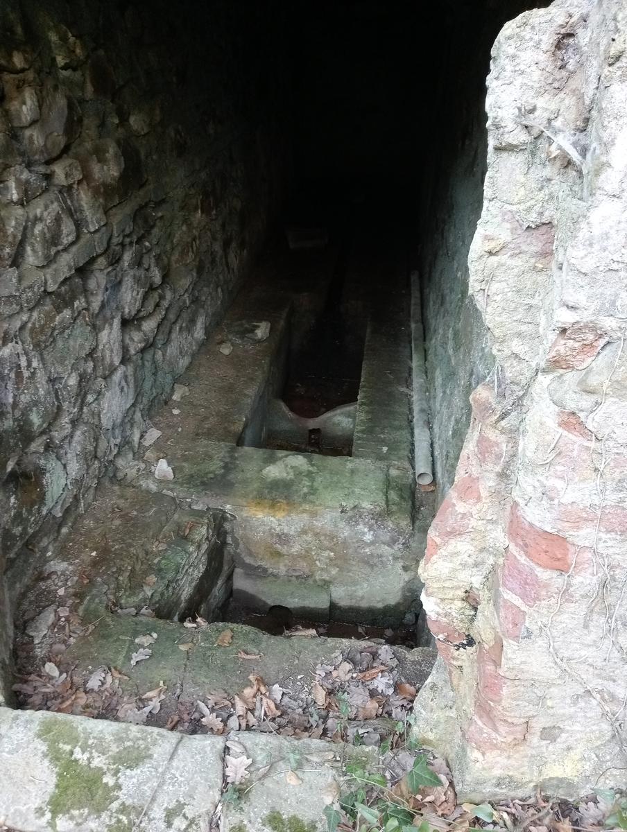 Castagneto Carducci - Geocache - Sassetta - foto 35