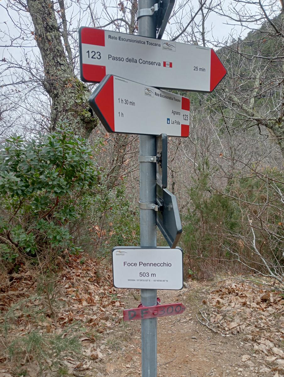 Asciano - Mirteto - Faeta - Buca delle fate (Sughereta) - foto 3