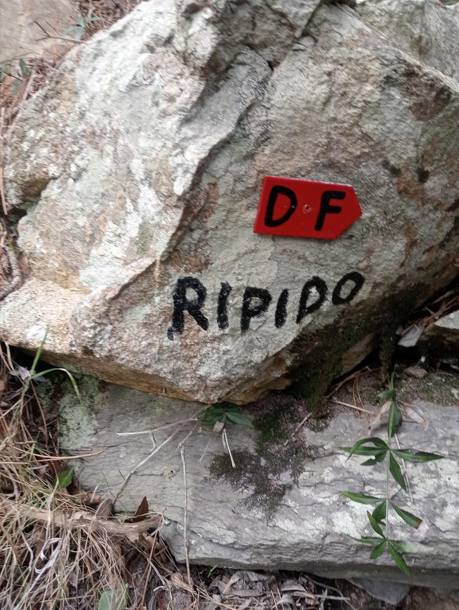 Asciano - Mirteto - Faeta - Buca delle fate (Sughereta) - foto 4