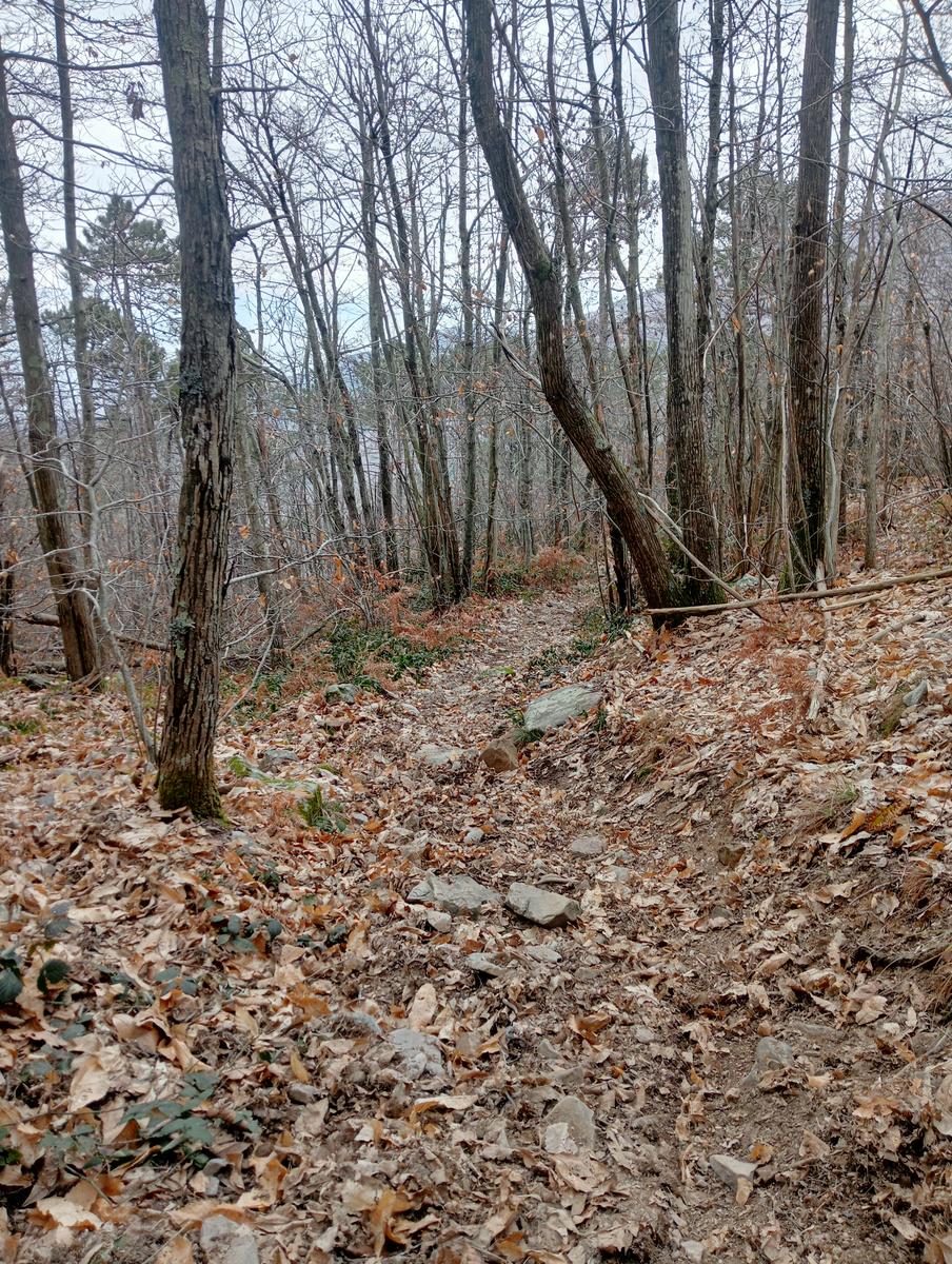 Asciano - Mirteto - Faeta - Buca delle fate (Sughereta) - foto 5