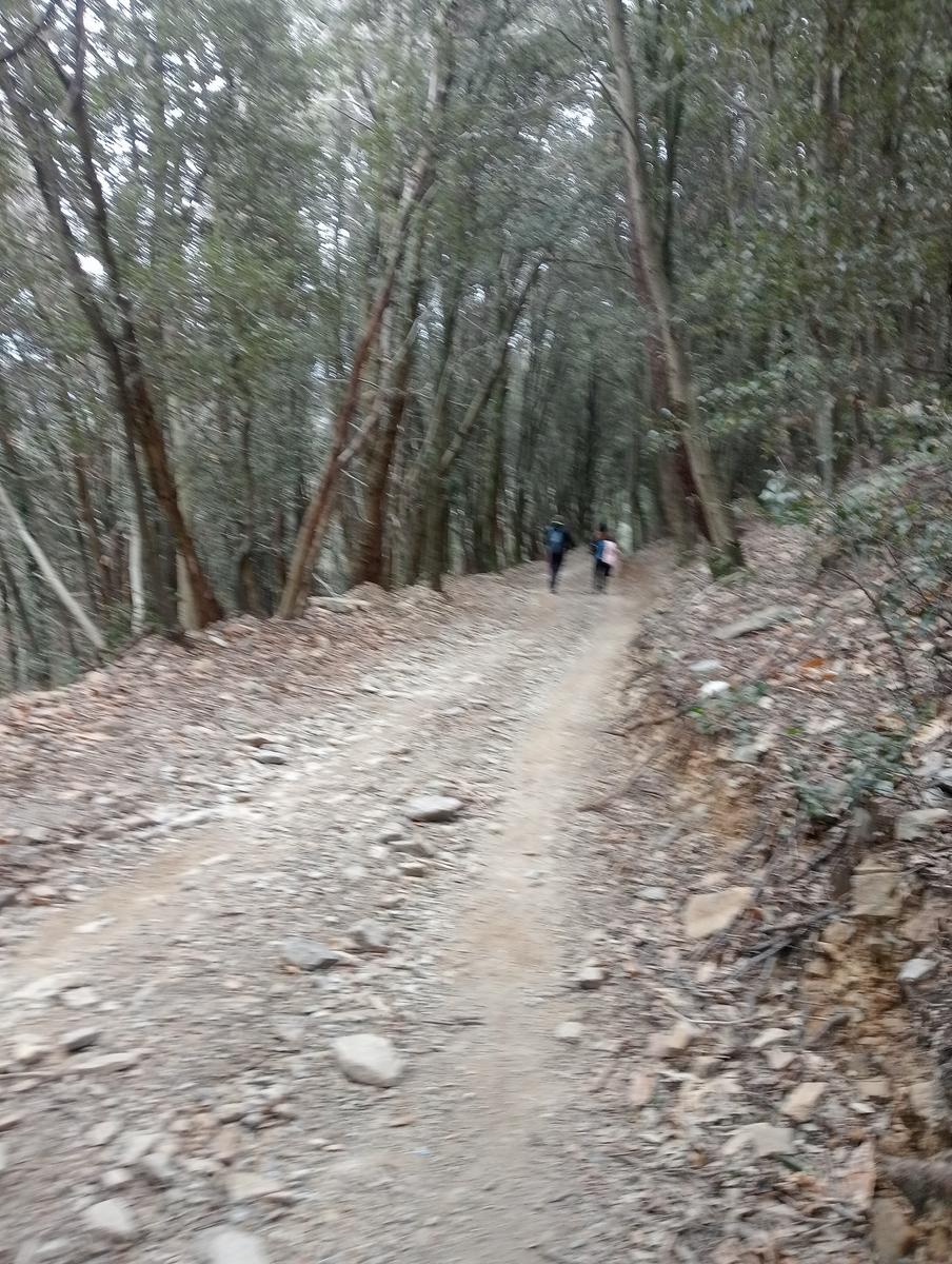 Asciano - Mirteto - Faeta - Buca delle fate (Sughereta) - foto 6