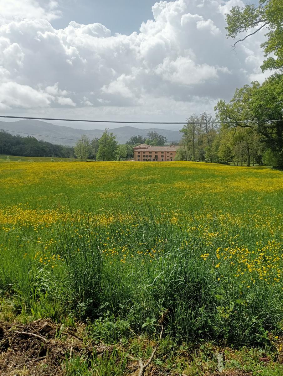 Parco Mediceo di Pratolino - foto 4