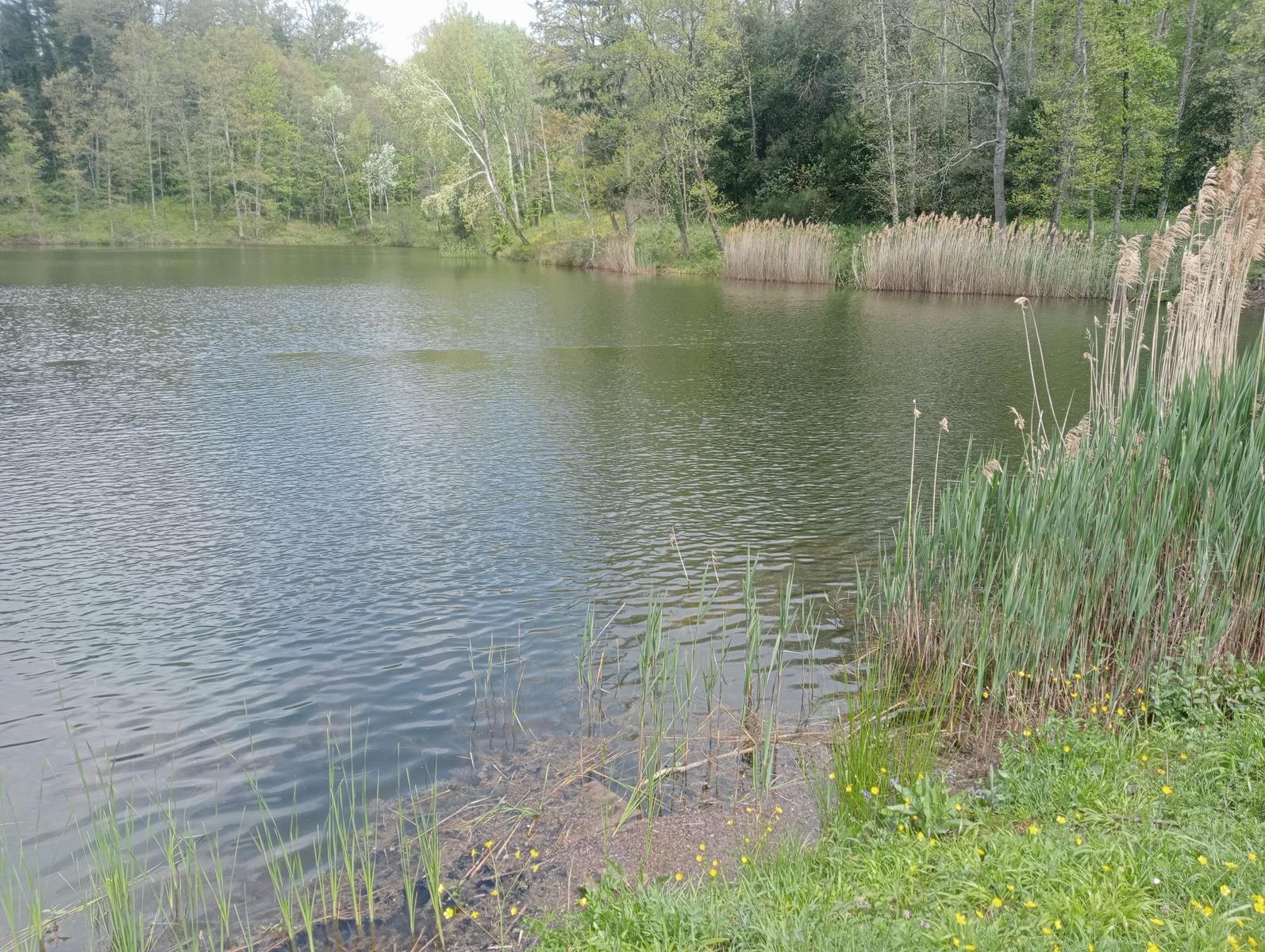 Parco Mediceo di Pratolino - foto 9