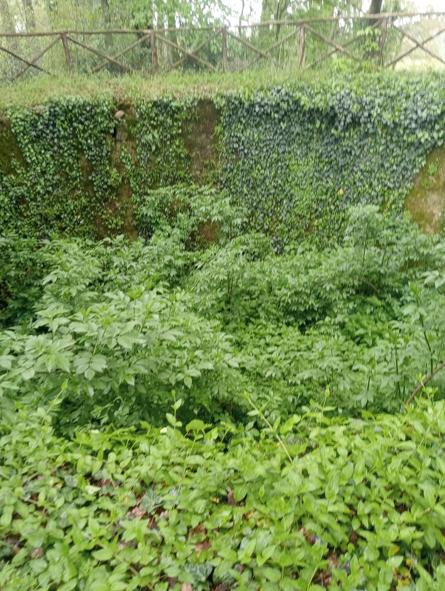 Parco Mediceo di Pratolino - foto 14