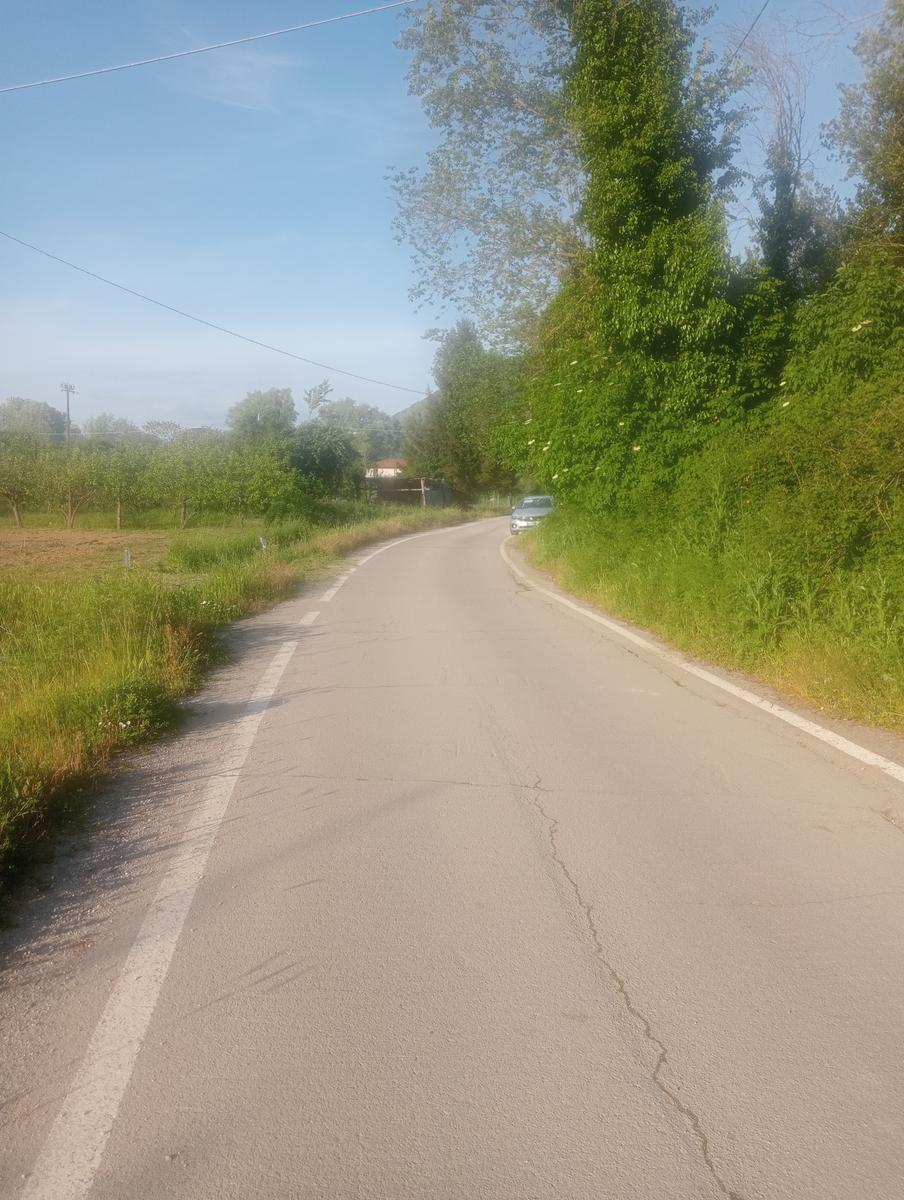 Il Monte del Legnaio - Notturna - foto 2