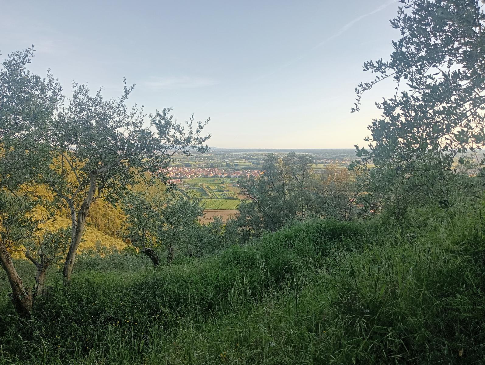 Il Monte del Legnaio - Notturna - foto 4