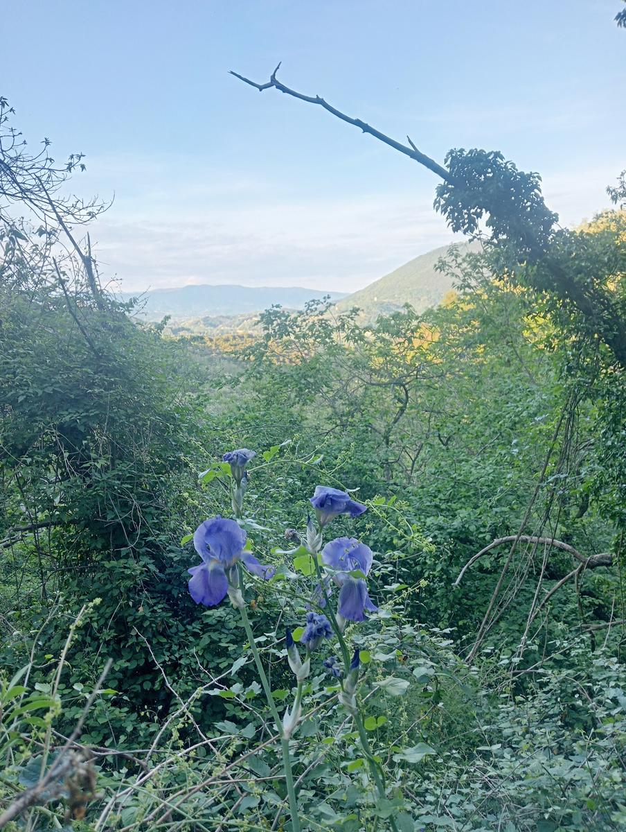 Il Monte del Legnaio - Notturna - foto 7
