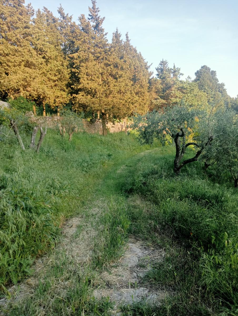 Il Monte del Legnaio - Notturna - foto 8