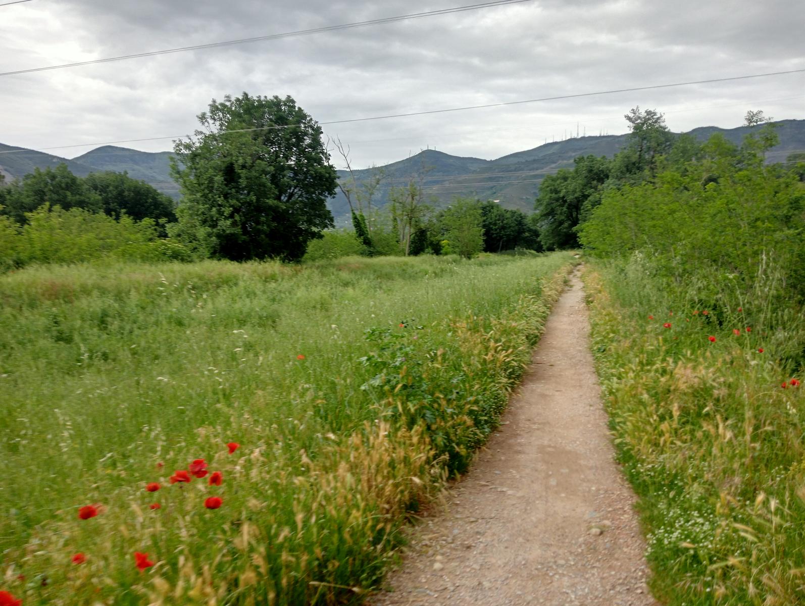 Caprona - Verruca - Torre degli Upezzinghi - foto 3