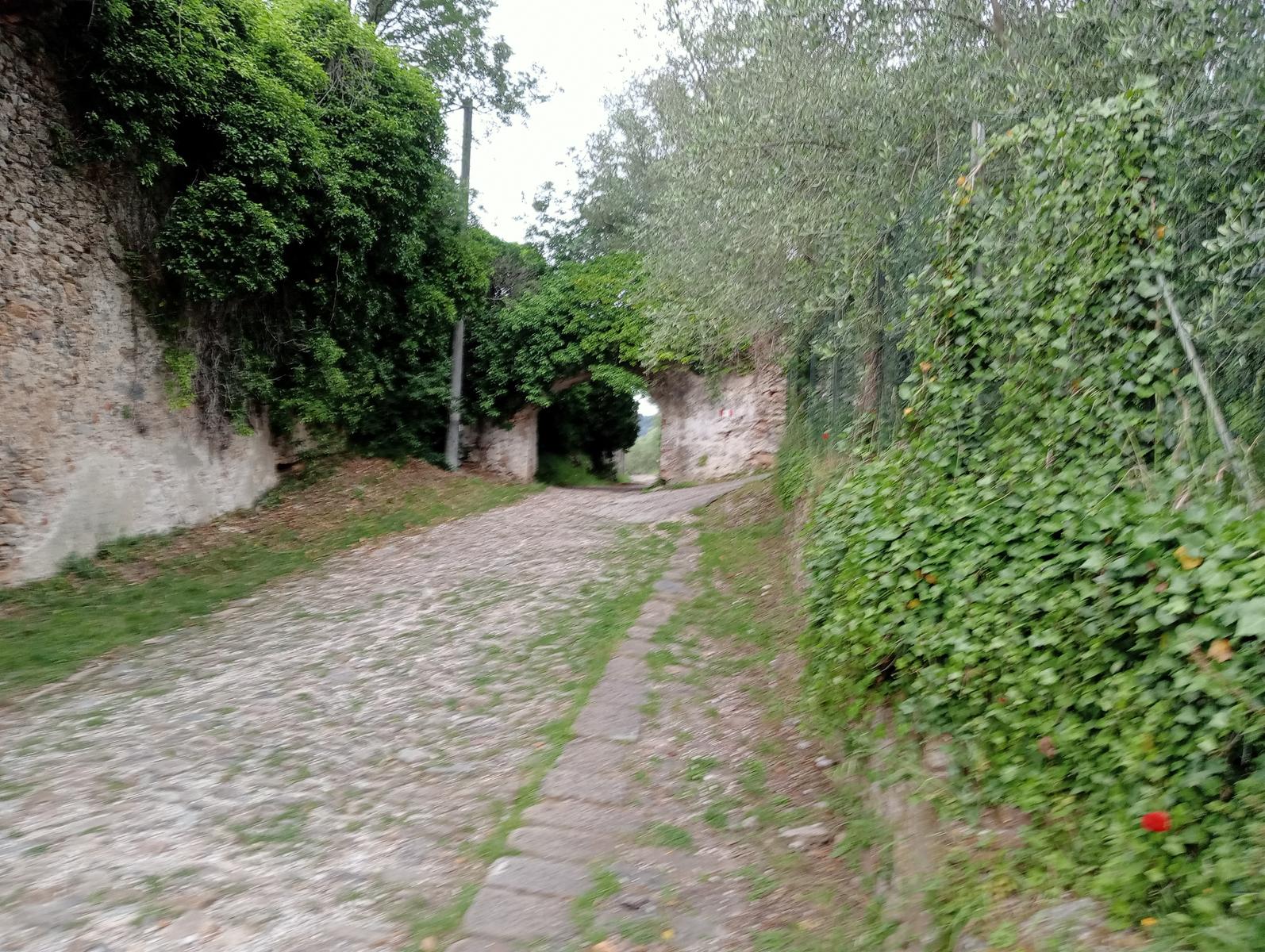 Caprona - Verruca - Torre degli Upezzinghi - foto 5