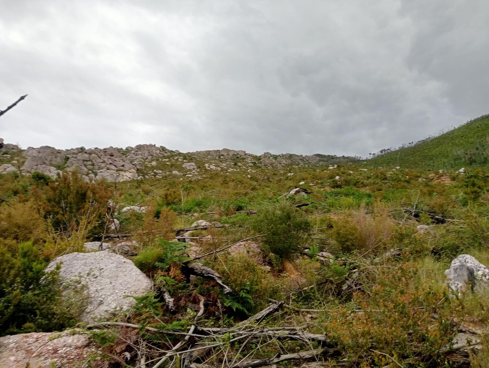 Caprona - Verruca - Torre degli Upezzinghi - foto 7