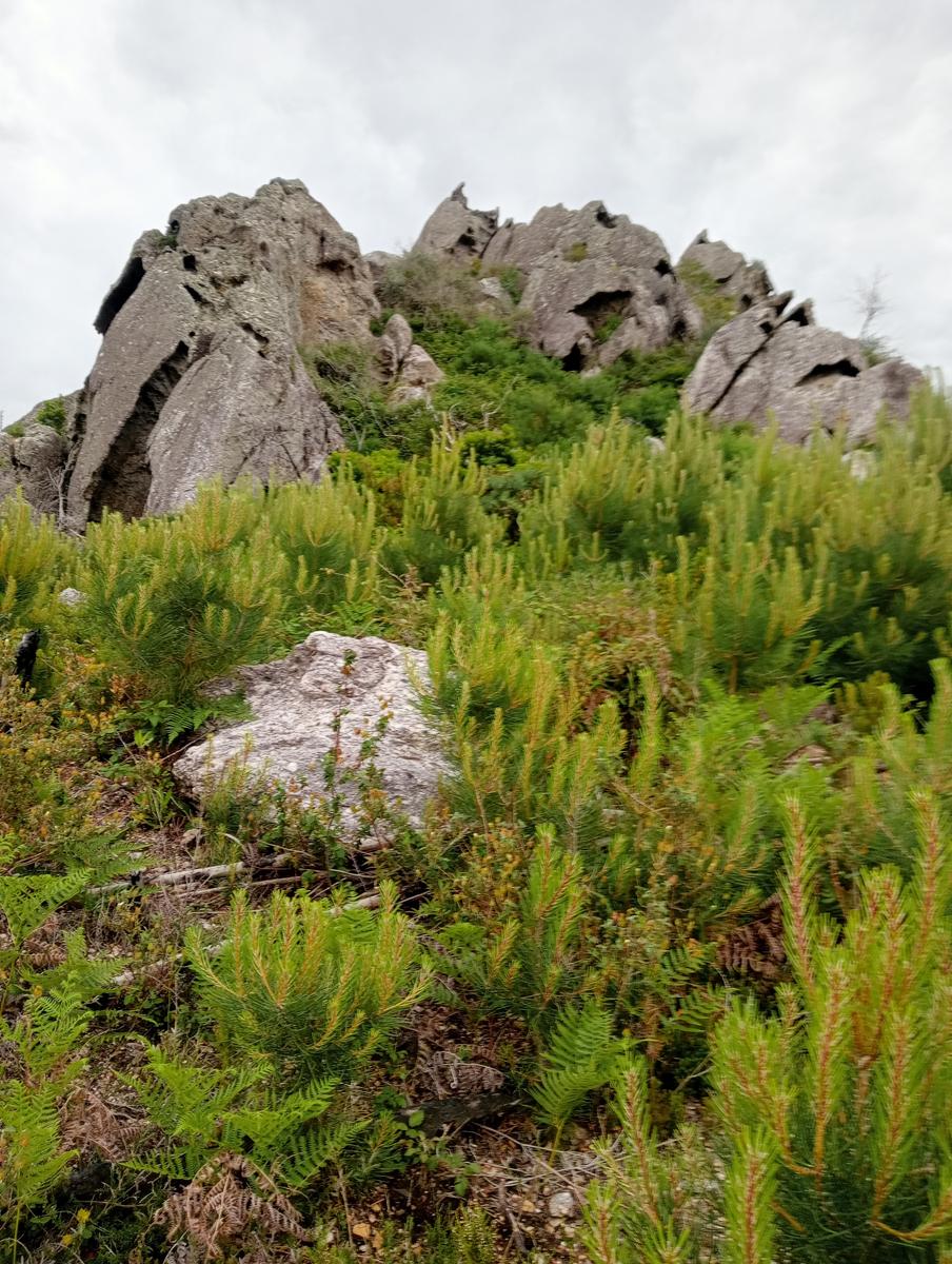 Caprona - Verruca - Torre degli Upezzinghi - foto 8