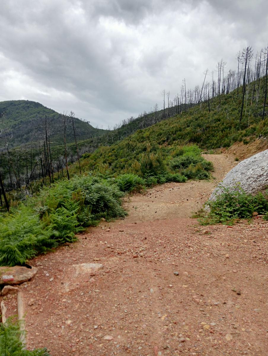 Caprona - Verruca - Torre degli Upezzinghi - foto 10