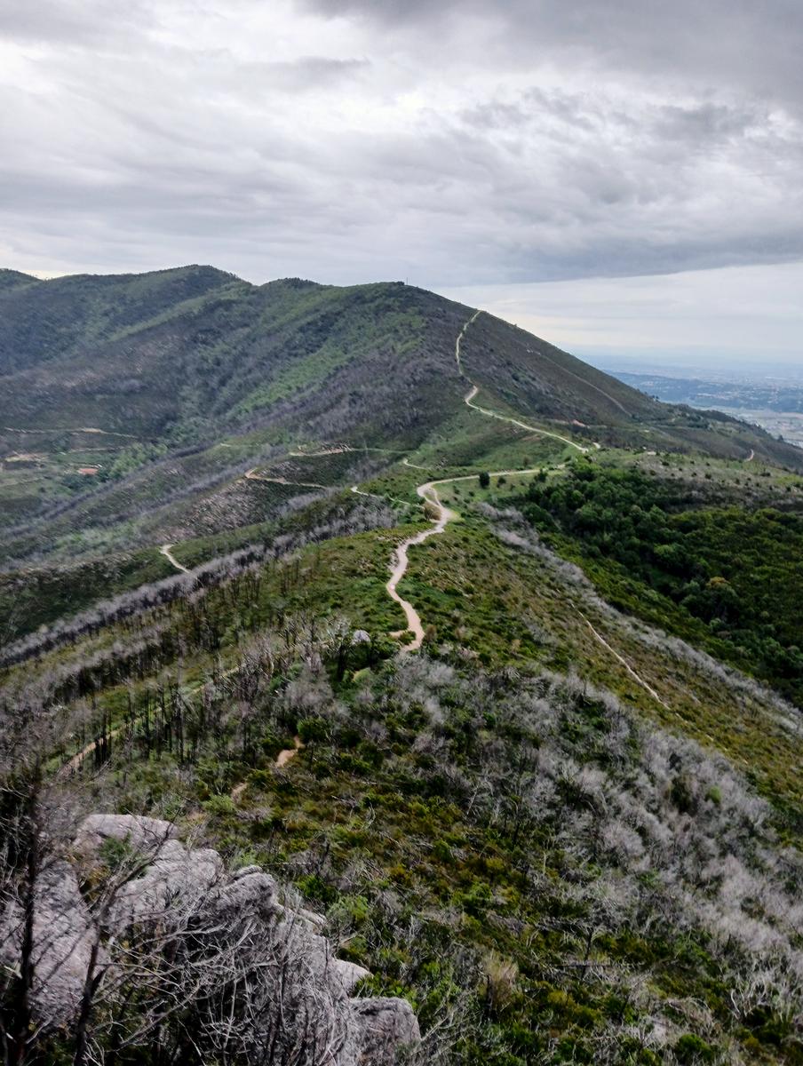 Caprona - Verruca - Torre degli Upezzinghi - foto 12