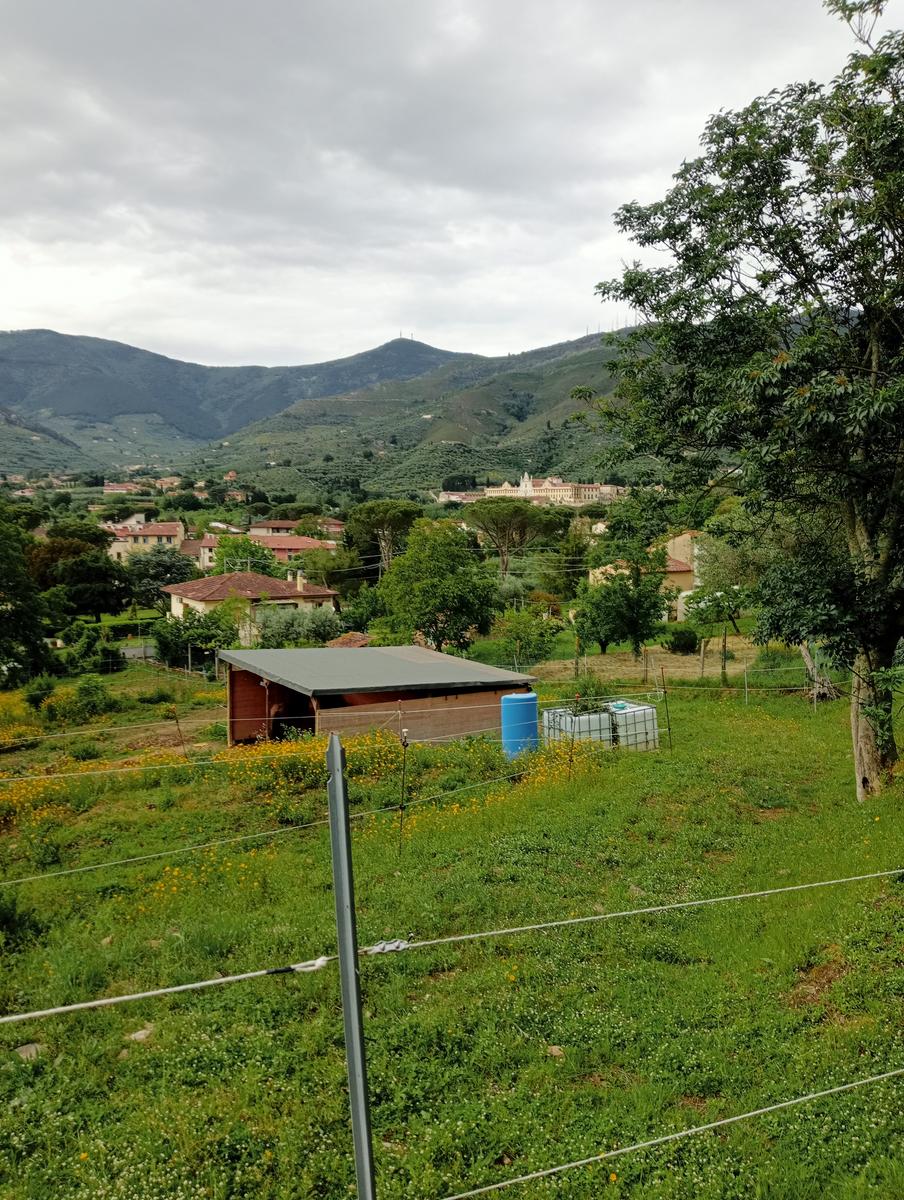 Caprona - Verruca - Torre degli Upezzinghi - foto 14