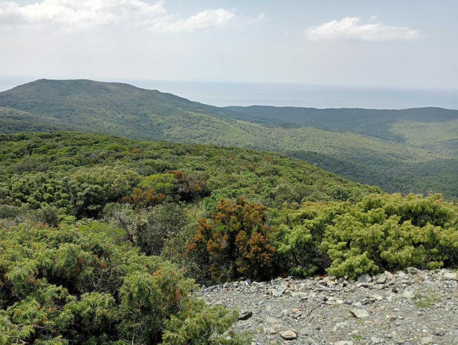 Gabbro- monte Carvoli - foto 4