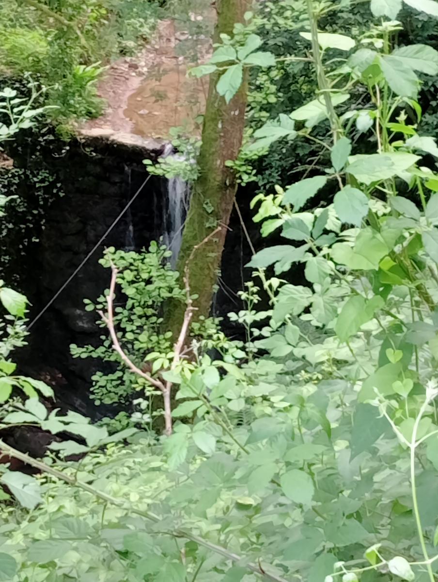 Fibialla -Geocaching