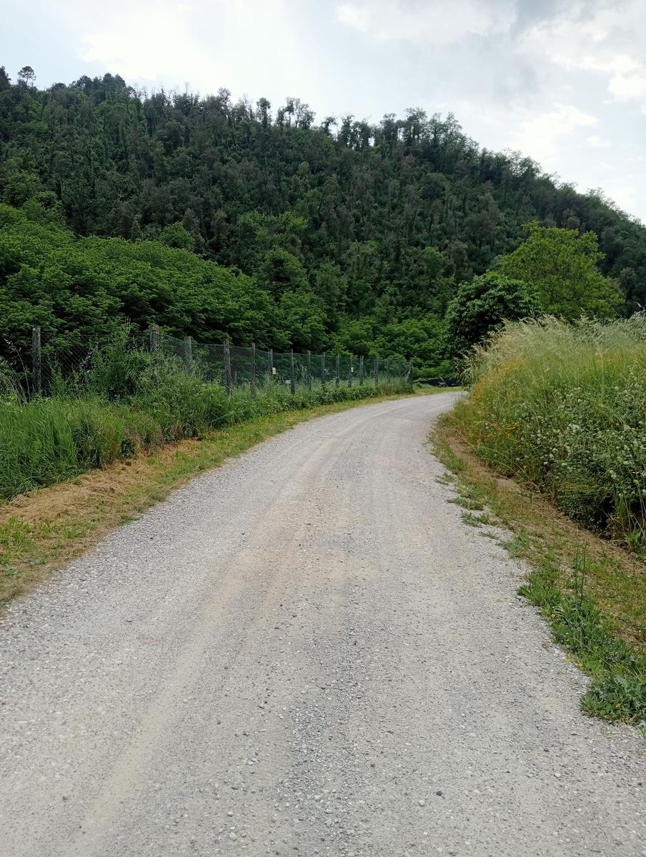 Fibialla -Geocaching - foto 3