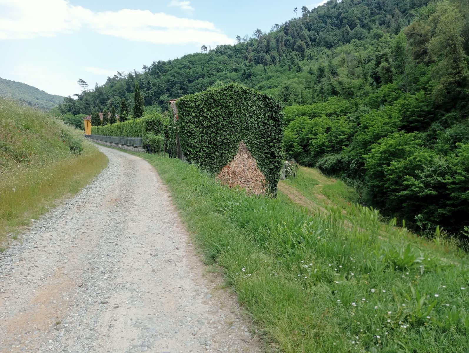 Fibialla -Geocaching - foto 4