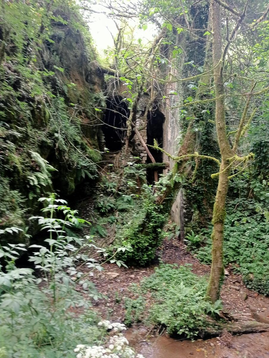 Fibialla -Geocaching - foto 6