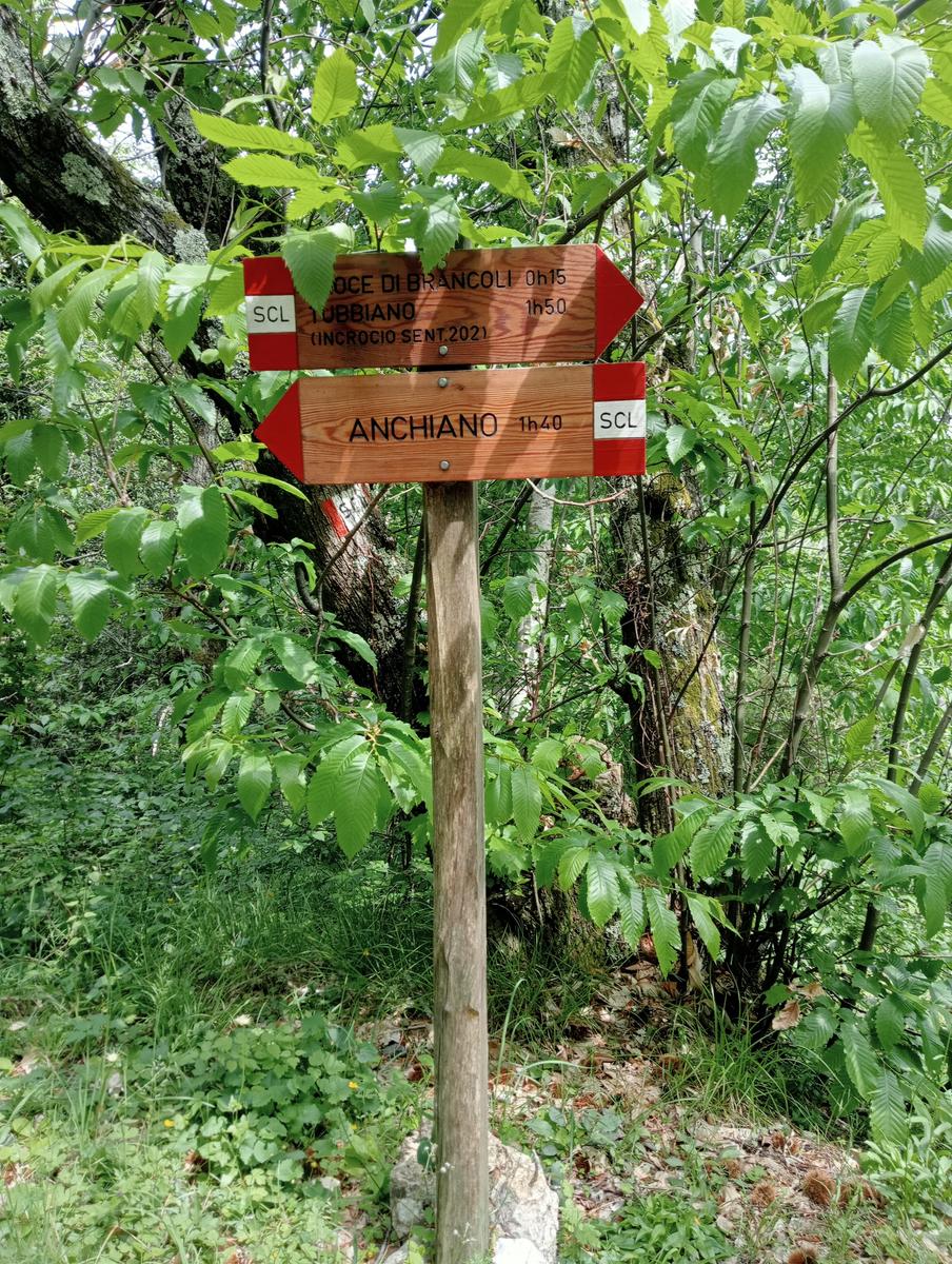 Croce di Brancoli - foto 2