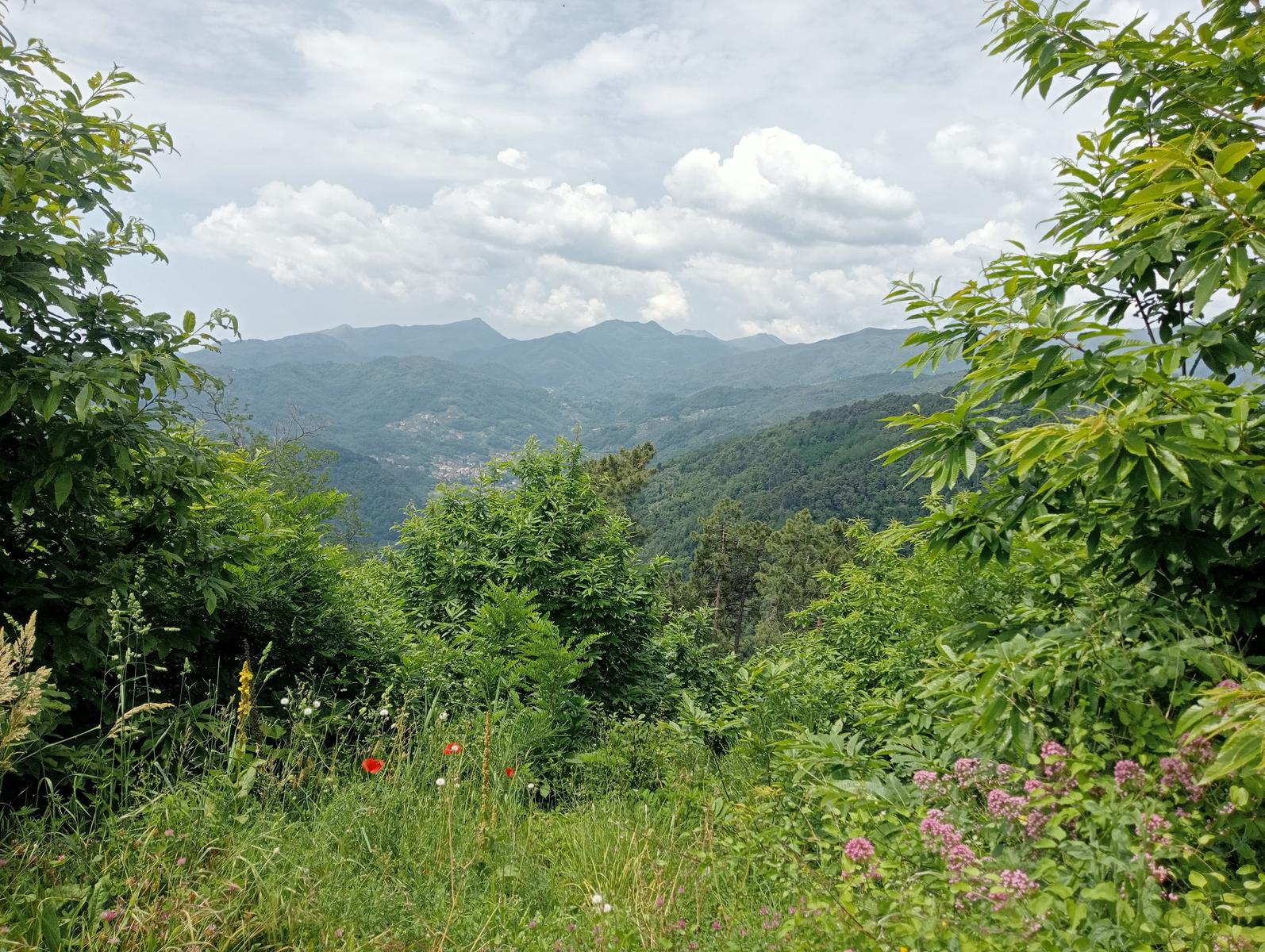 Croce di Brancoli - foto 4