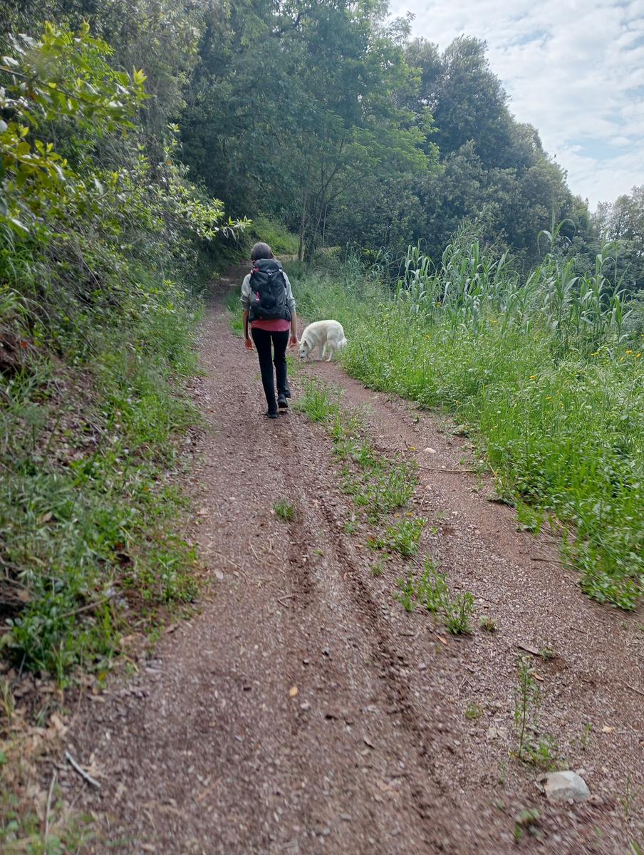 Croce di Brancoli - foto 6