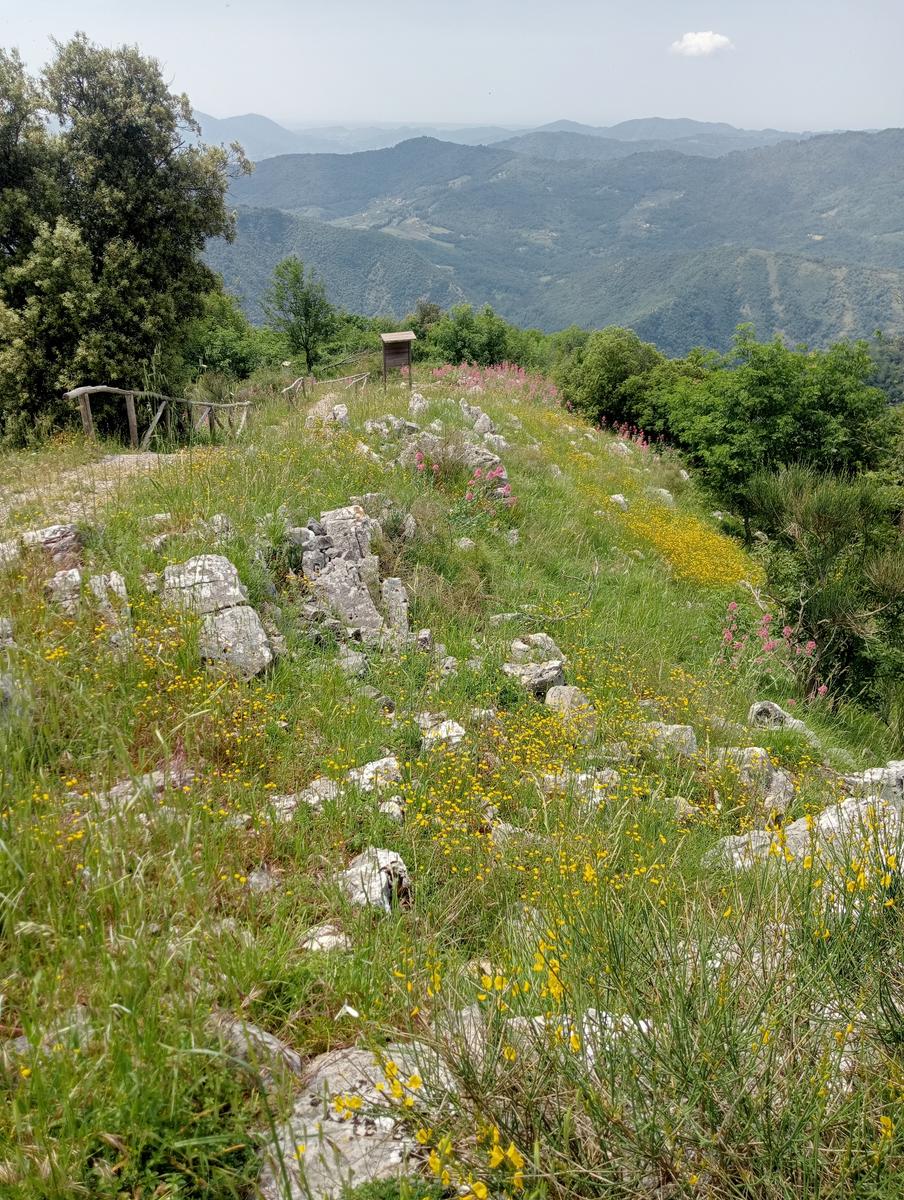 Croce di Brancoli - foto 8