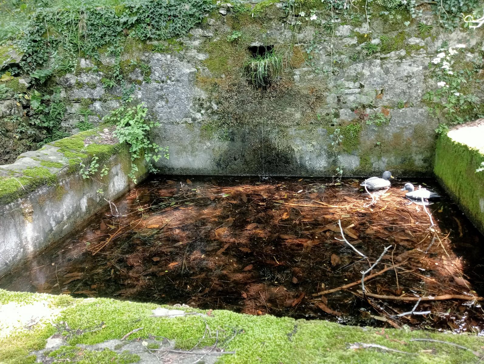 Croce di Brancoli - foto 9